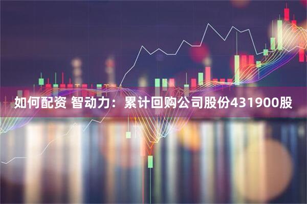如何配资 智动力：累计回购公司股份431900股